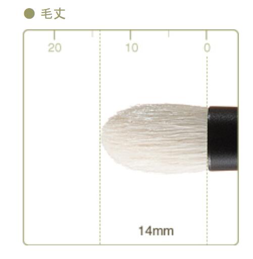 CHIKUHODO T-7 Eyeshadow brush M,flat round,saikoho,T series