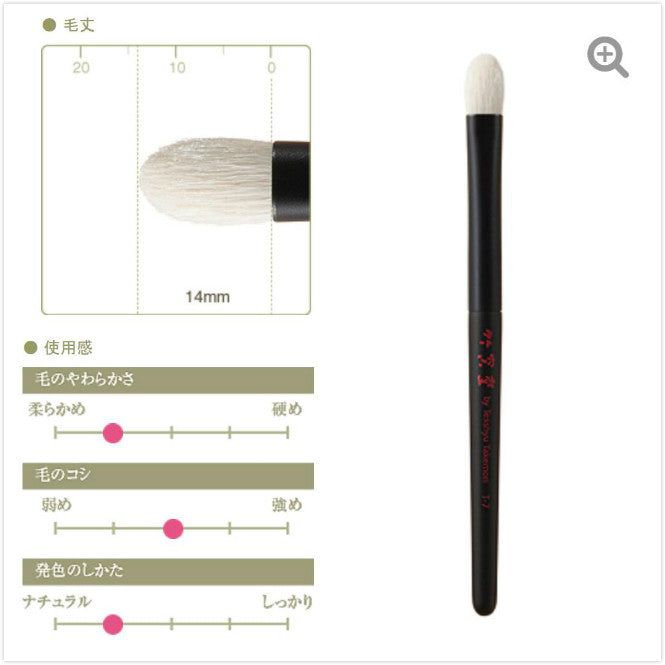 CHIKUHODO T-7 Eyeshadow brush M,flat round,saikoho,T series