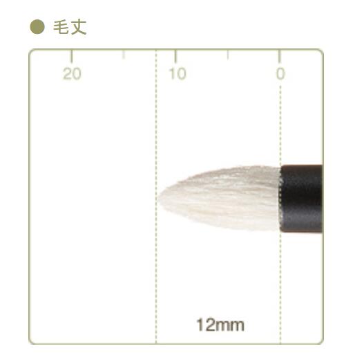 CHIKUHODO T-8 Eyeshadow brush ,shadowliner,pencil shape,saikoho,T series