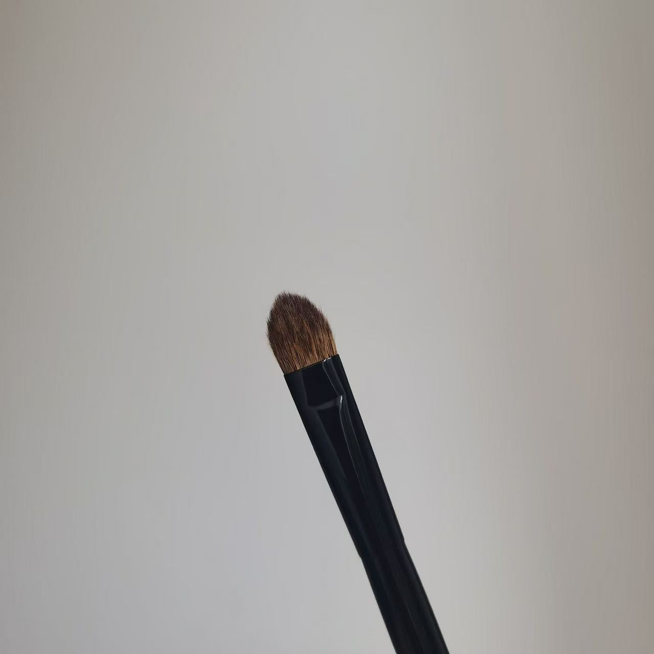 Takeda Bruah Eyeshadow Brush TSH12 CSQU Canadian Squirrel